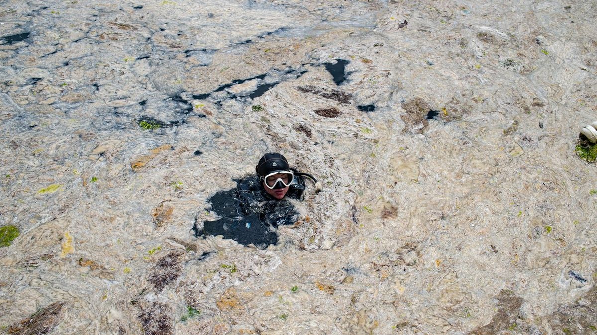 Fotky: Velká slizová kalamita. V oblíbeném cíli turistů spustili úklid mořského hlenu